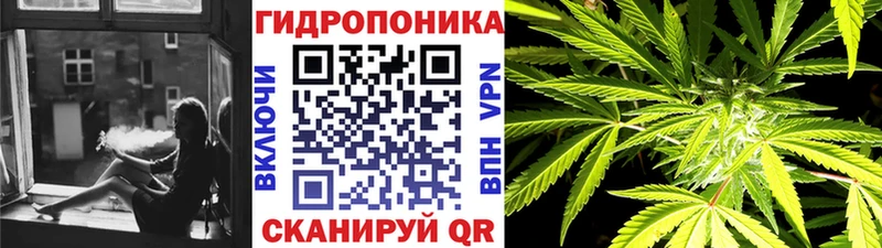 Где найти наркотики Курчатов Alpha PVP  Меф  Конопля 