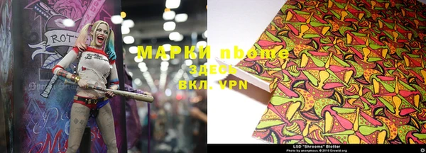 прущие грибы Михайлов