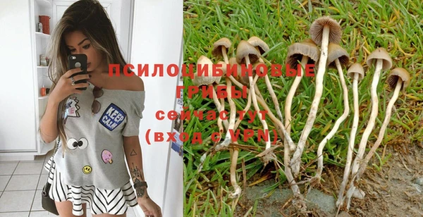 спиды Навашино
