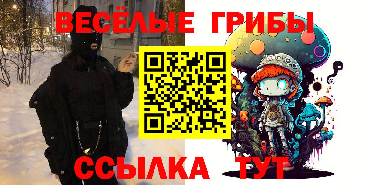 Галлюциногенные грибы GOLDEN TEACHER  Курчатов  где продают наркотики  Галлюциногенные грибы Magic Shrooms 