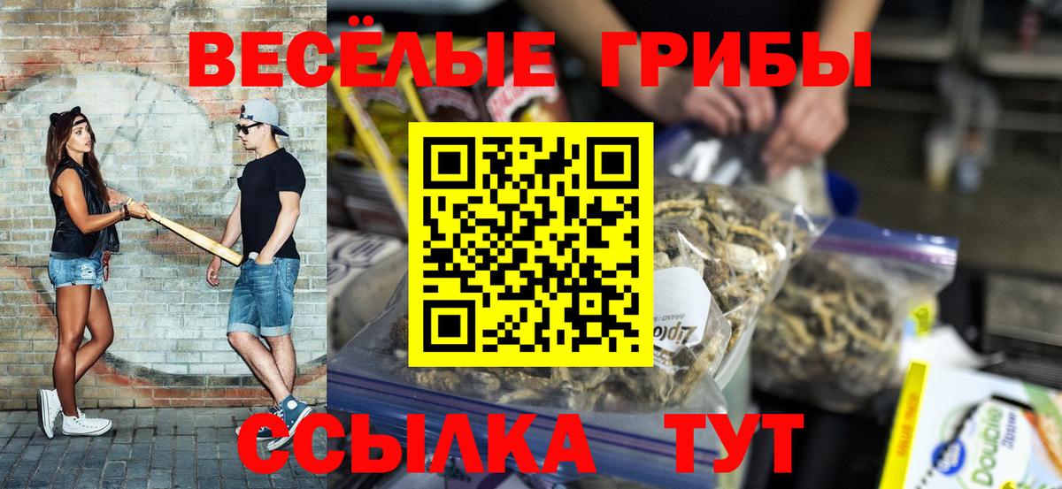 Псилоцибиновые грибы Psilocybine cubensis Курчатов